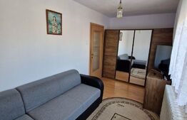 Apartament cu 2 camere, 30 mp, renovata, Sagului