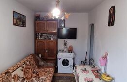 Apartament cu 2 camere, 30 mp, renovata, Sagului