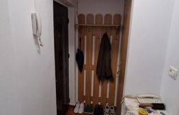 Apartament cu 2 camere, 30 mp, renovata, Sagului