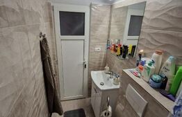 Apartament cu 2 camere, 30 mp, renovata, Sagului