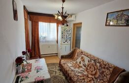 Apartament cu 2 camere, 30 mp, renovata, Sagului