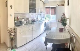 Apartament 2 camere, 45 mp, Sagului