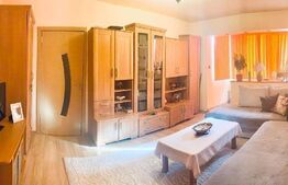 Apartament 2 camere, 45 mp, Sagului