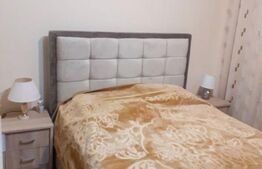 Apartament 2 camere, 45 mp, Sagului
