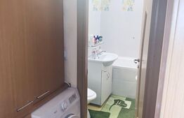 Apartament 2 camere, 45 mp, Sagului