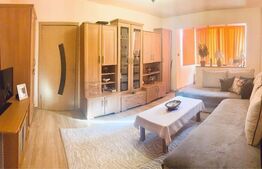Apartament 2 camere, 45 mp, Sagului
