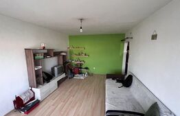 Apartament 3 camere, 65 mp, Lipovei