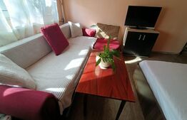 Garsoniera, et.2, mobilata/utilata, 24 mp, zona Blascovici