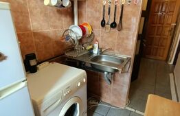 Garsoniera, et.2, mobilata/utilata, 24 mp, zona Blascovici