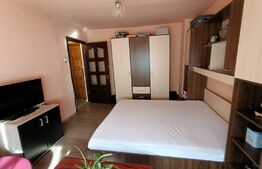 Garsoniera, et.2, mobilata/utilata, 24 mp, zona Blascovici