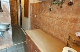 Garsoniera, et.2, mobilata/utilata, 24 mp, zona Blascovici