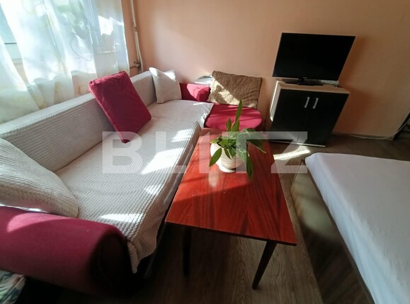 Garsonieră de vânzare Blascovici - 105210AV | BLITZ Timișoara | Poza2