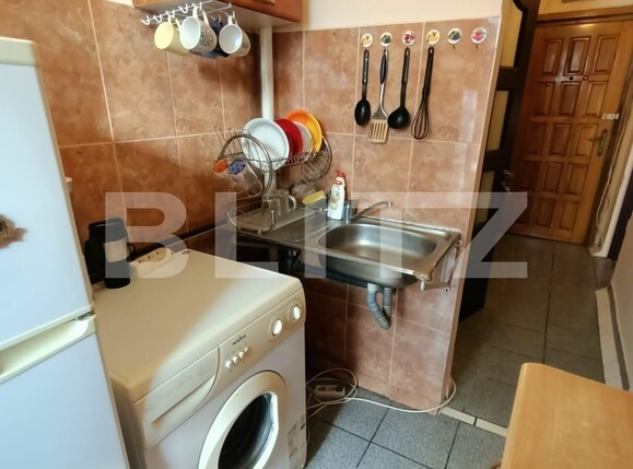 Garsonieră de vânzare Blascovici - 105210AV | BLITZ Timișoara | Poza8