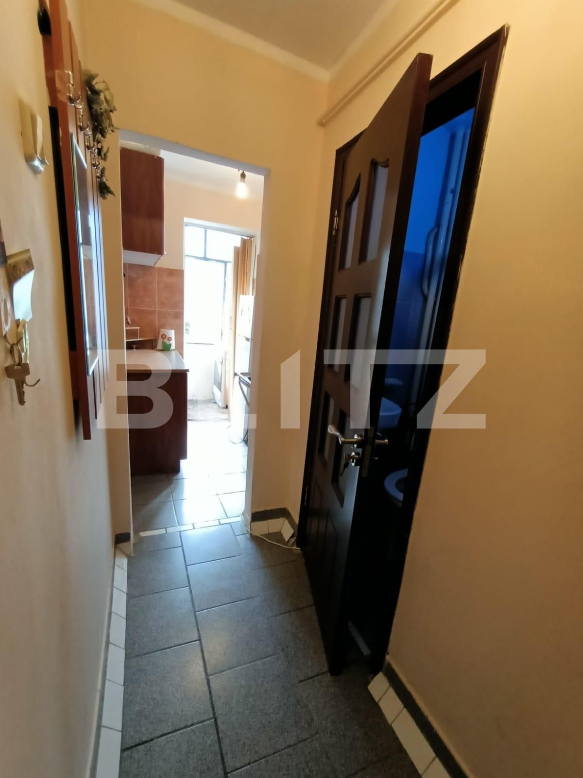 Garsonieră de vânzare Blascovici - 105210AV | BLITZ Timișoara | Poza5