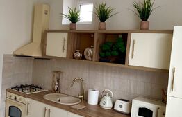 Apartament la casa, 58,5 mp, 2 camere, Victor Babes