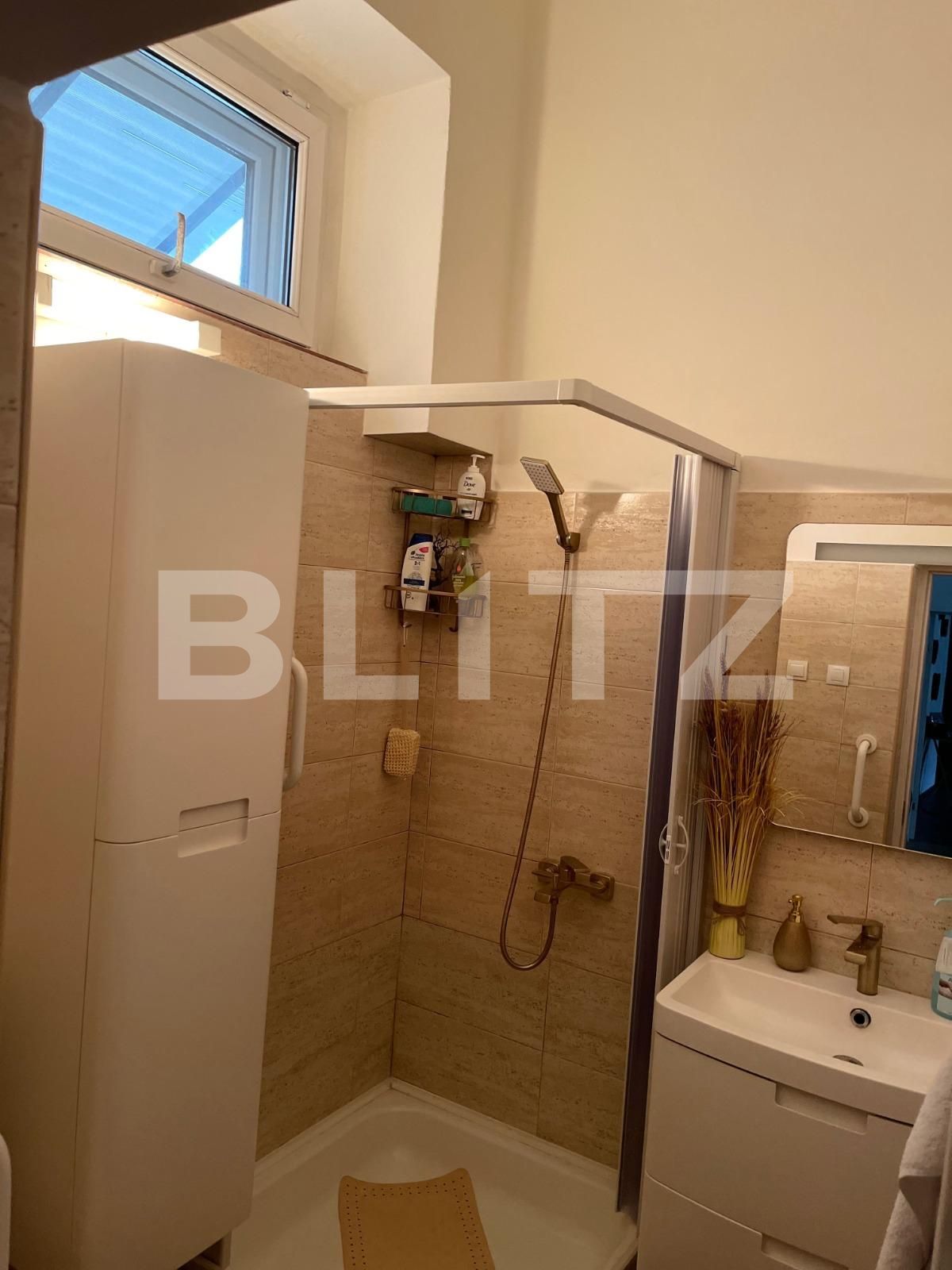 Apartament de vânzare 2 camere Elisabetin - 105222AV | BLITZ Timișoara | Poza3