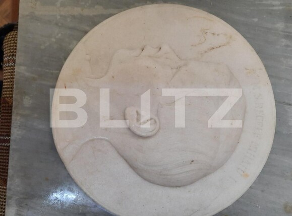 Casa de vânzare 8 camere Central - 105257CV | BLITZ Timișoara | Poza6