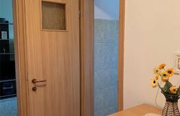 Apartament cu doua camere, langa Spitalul Judetean, 42 mp