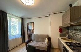 Apartament la casa, 40 mp, curte comuna, zona Piata Iozefin