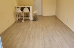 Garsoniera, 27 mp, parter, Lipovei