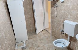 Garsoniera, 27 mp, parter, Lipovei