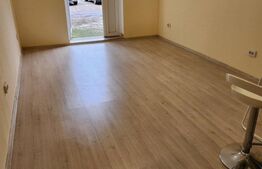 Garsoniera, 27 mp, parter, Lipovei