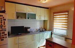 Apartament cu 2 camere, 57 mp, semidecomandat, Sagului