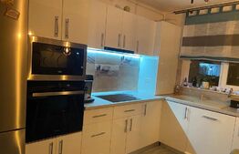 Apartament cu 3 camere, 60 mp, etaj intermediar, Torontalului