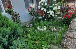 Casa cu 4 camere, 120 mp, teren cu 1650 mp, Exterior Vest