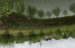 Casa cu 4 camere, 120 mp, teren cu 1650 mp, Exterior Vest