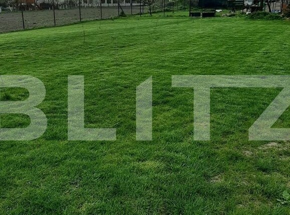 Casa de vânzare 4 camere Exterior Vest - 105702CV | BLITZ Timișoara | Poza3