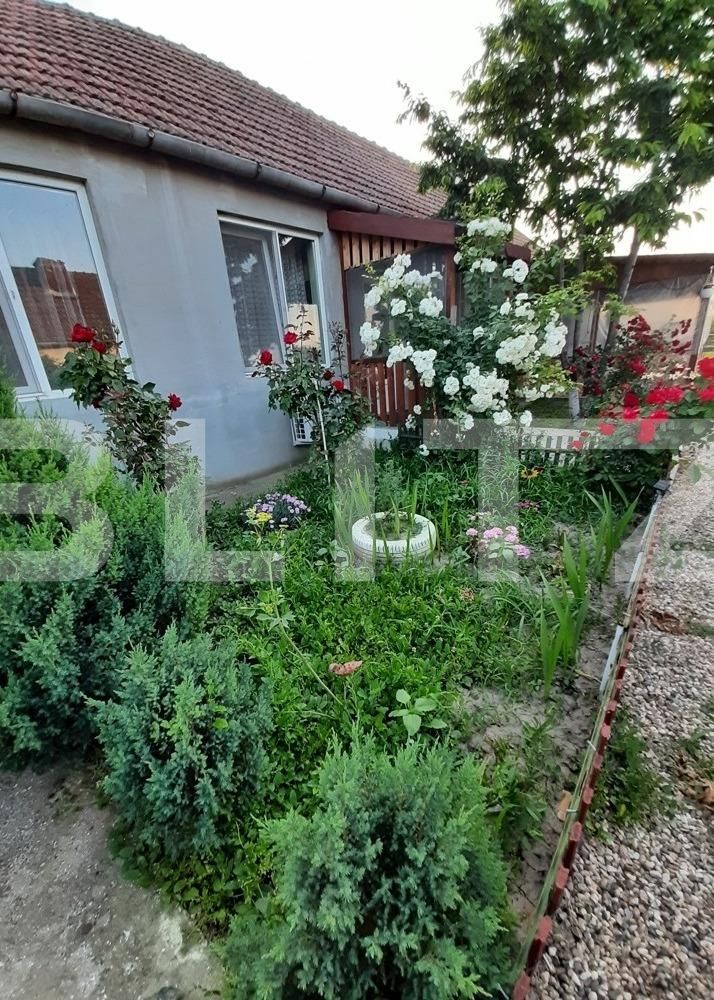 Casa de vânzare 4 camere Exterior Vest - 105702CV | BLITZ Timișoara | Poza7