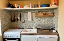 Apartament cu o camera, 26 mp, Bucovina