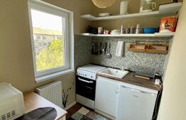 Apartament cu o camera, 26 mp, Bucovina