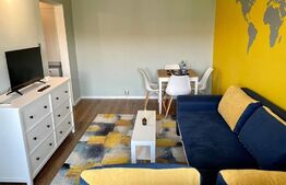 Apartament cu o camera, 26 mp, Bucovina