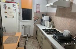 Apartament cu 2 camere, 45 mp, etaj intermediar, Gara de Nord