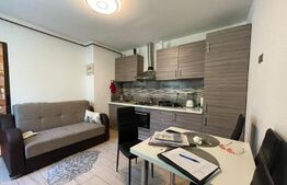 GARSONIERĂ IOSEFIN 40MP