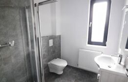 Spatiu comercial de 106 mp, zona Dumbravita 