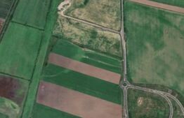 Teren extravilan, 50.000 mp, langa descarcarea A1, Giarmata!