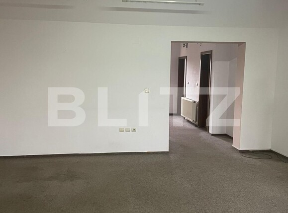 Spațiu birouri de vânzare Brancoveanu - 106012SVB | BLITZ Timișoara | Poza5