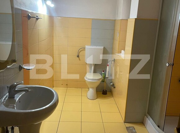 Spațiu birouri de vânzare Brancoveanu - 106012SVB | BLITZ Timișoara | Poza9