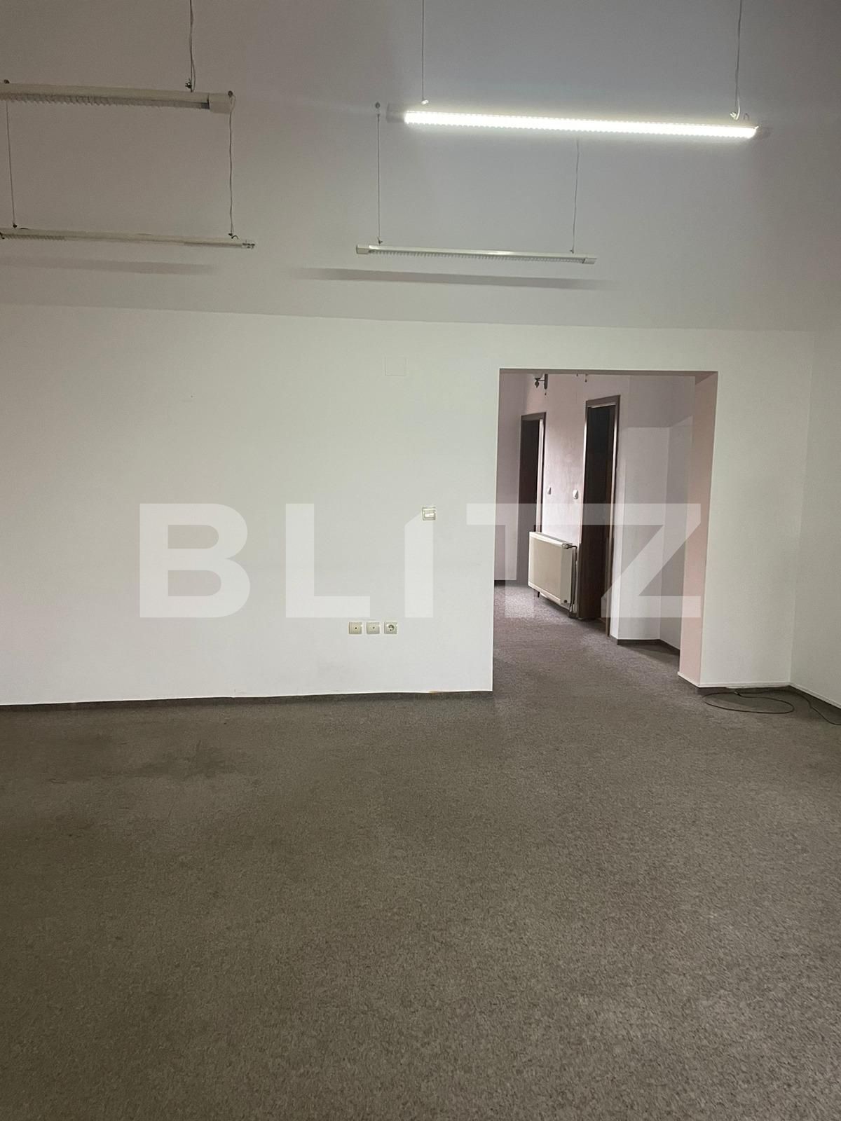 Spațiu birouri de vânzare Brancoveanu - 106012SVB | BLITZ Timișoara | Poza5