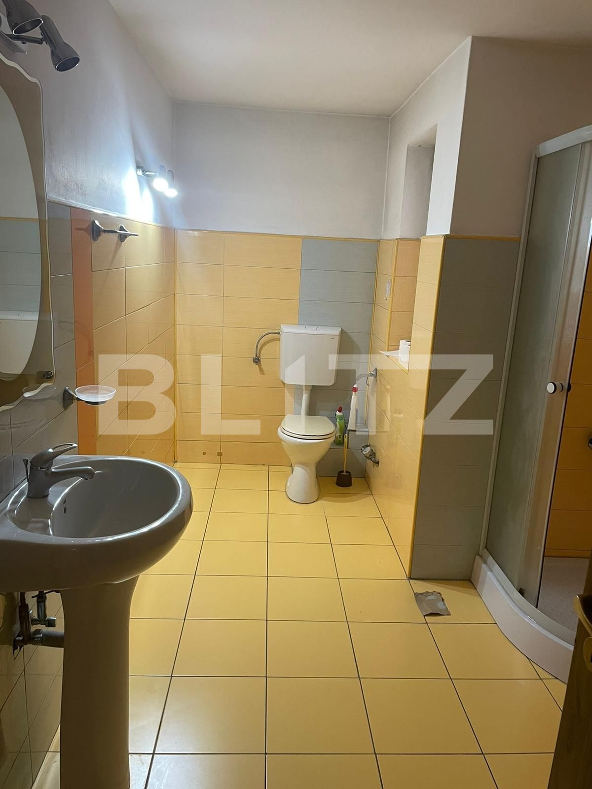 Spațiu birouri de vânzare Brancoveanu - 106012SVB | BLITZ Timișoara | Poza9