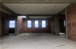 Casa la rosu, in stadiu incipient, 150mp utili, 688mp teren, in Sanandrei