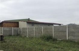 Casa la rosu, in stadiu incipient, 150mp utili, 688mp teren, in Sanandrei