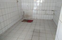 Spatiu comercial, zona Dacia