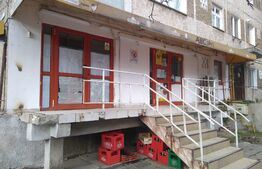 Spatiu comercial, zona Dacia