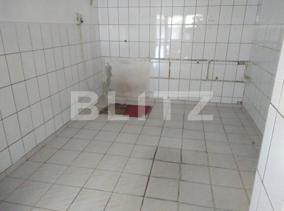 Spațiu comercial de închiriat Dacia - 106061SIC | BLITZ Timișoara | Poza6