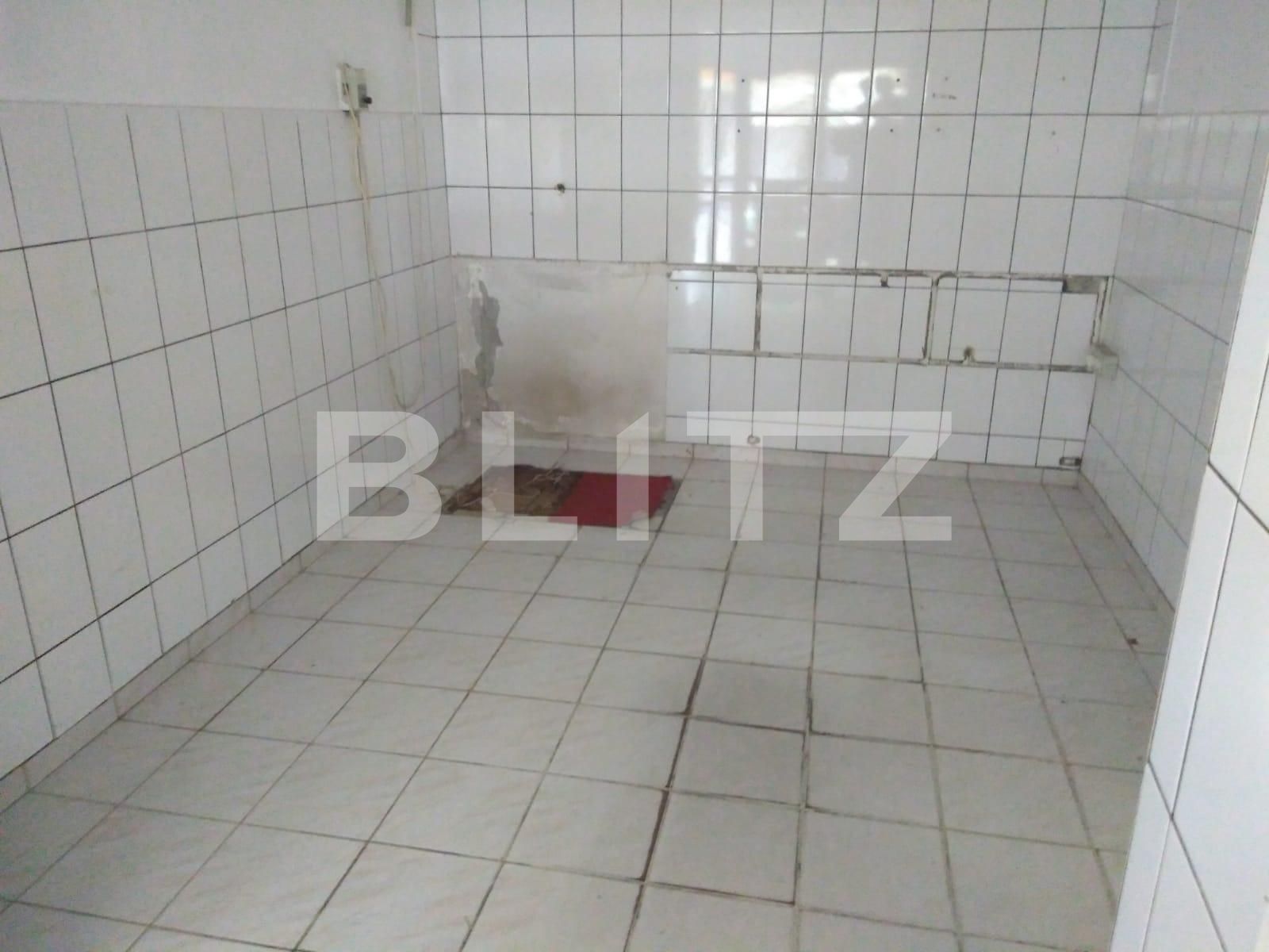 Spațiu comercial de închiriat Dacia - 106061SIC | BLITZ Timișoara | Poza6