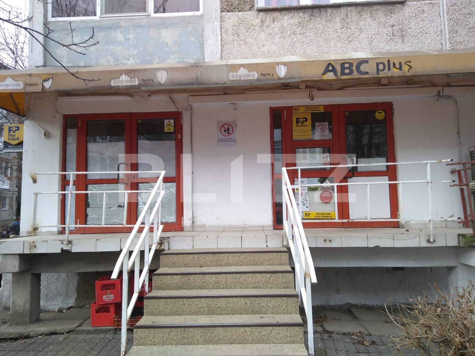 Spațiu comercial de închiriat Dacia - 106061SIC | BLITZ Timișoara | Poza2